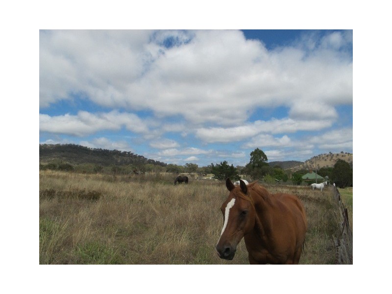 Lots 6 and 274 Mudgee Street, Mudgee NSW 2850