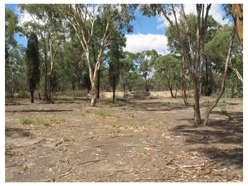 223 Maiala Road, Mudgee NSW 2850