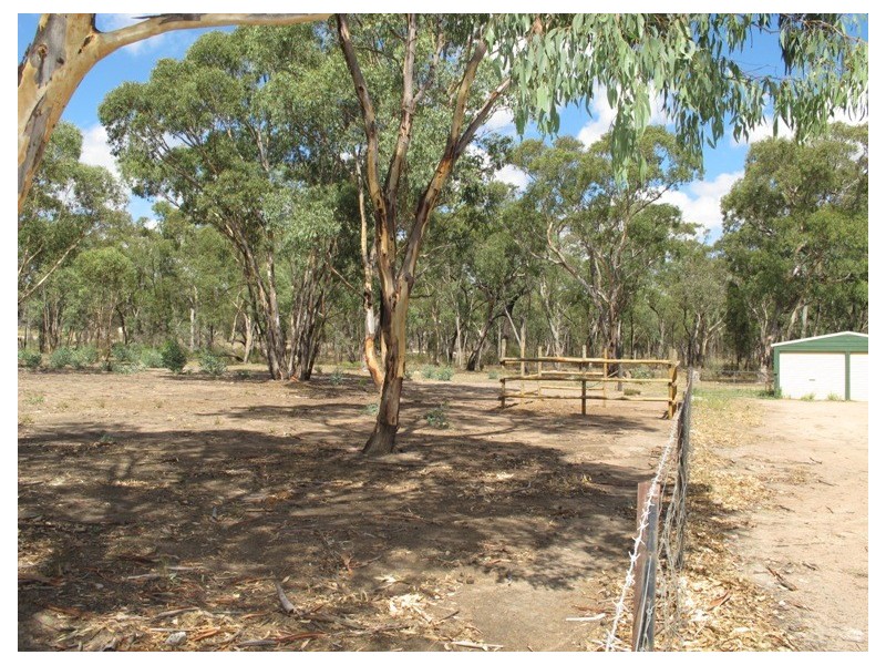 223 Maiala Road, Mudgee NSW 2850