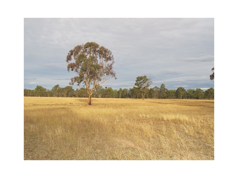 65 Blue Springs Road, Gulgong NSW 2852