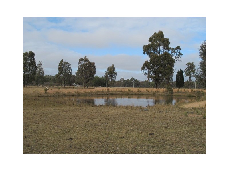 65 Blue Springs Road, Mudgee NSW 2850