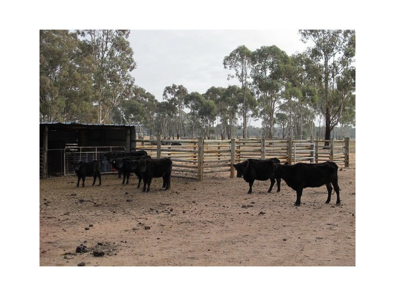 65 Blue Springs Road, Mudgee NSW 2850