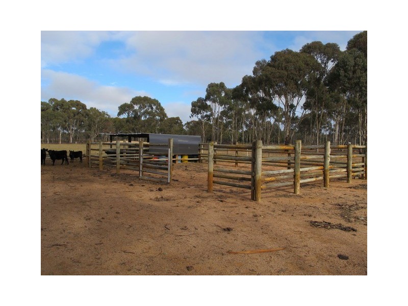 65 Blue Springs Road, Mudgee NSW 2850