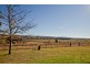 481 Melrose Road, Mudgee NSW 2850