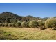 481 Melrose Road, Mudgee NSW 2850