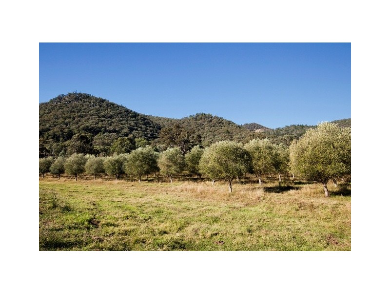 481 Melrose Road, Mudgee NSW 2850