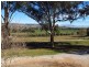 481 Melrose Road, Mudgee NSW 2850