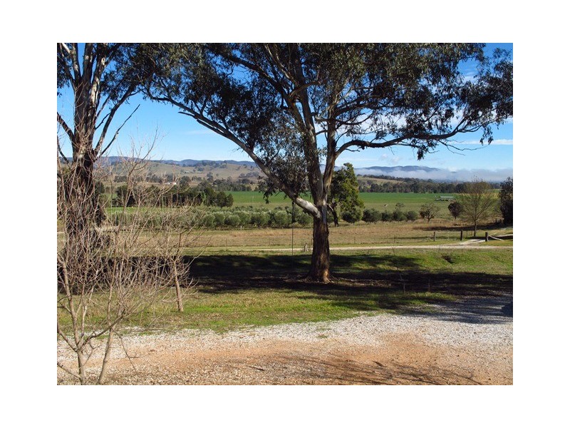 481 Melrose Road, Mudgee NSW 2850