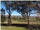 481 Melrose Road, Mudgee NSW 2850
