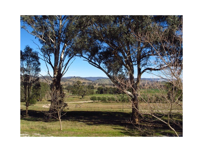 481 Melrose Road, Mudgee NSW 2850