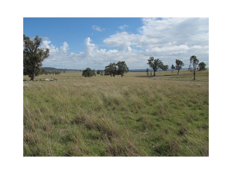Lot 4 Blue Springs Road, Mudgee NSW 2850