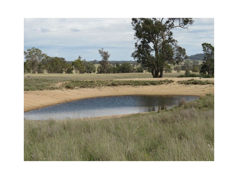 Lot 4 Blue Springs Road, Mudgee NSW 2850