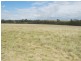 Lot 4 Blue Springs Road, Mudgee NSW 2850