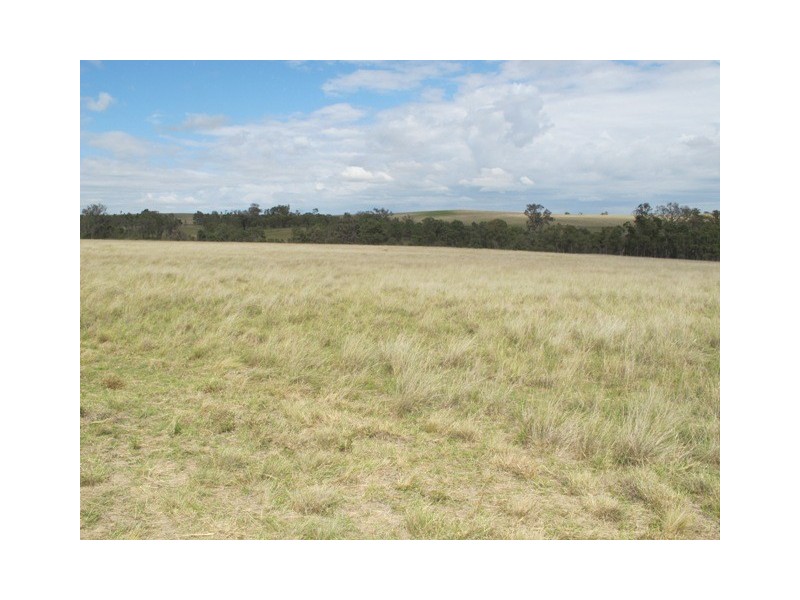 Lot 4 Blue Springs Road, Mudgee NSW 2850