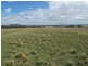 Lot 4 Blue Springs Road, Mudgee NSW 2850