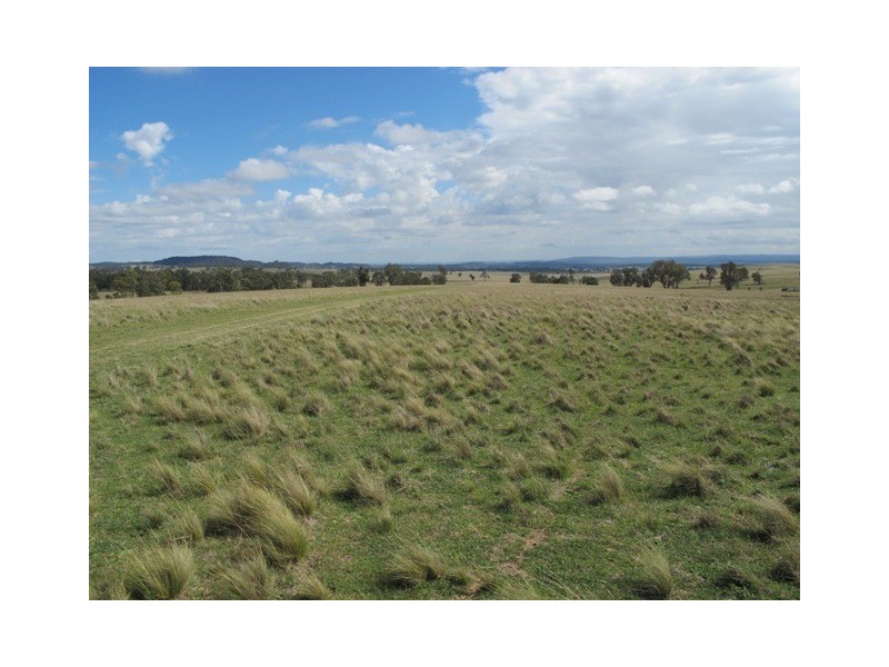 Lot 4 Blue Springs Road, Mudgee NSW 2850