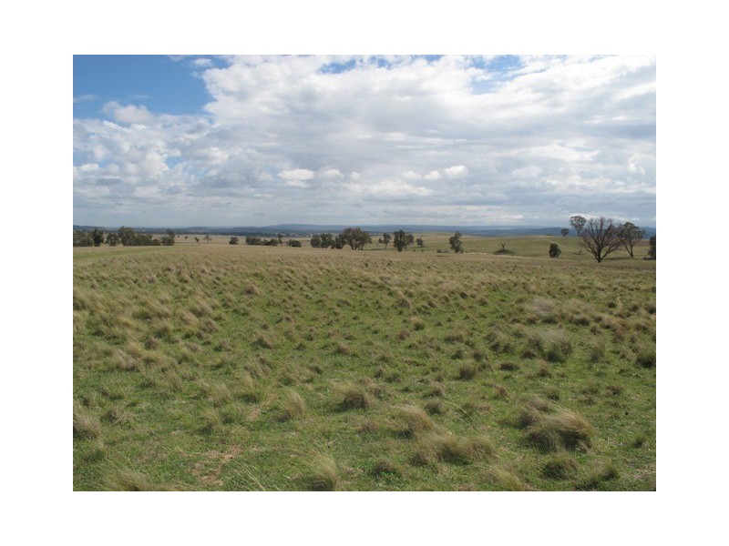 Lot 4 Blue Springs Road, Mudgee NSW 2850