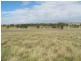 Lot 4 Blue Springs Road, Mudgee NSW 2850