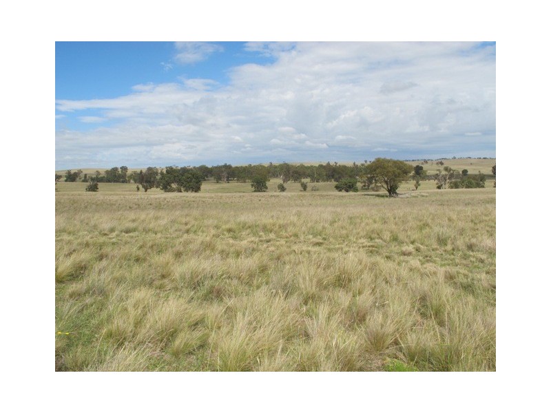Lot 4 Blue Springs Road, Mudgee NSW 2850