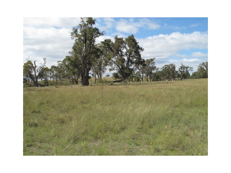 Lot 4 Blue Springs Road, Mudgee NSW 2850