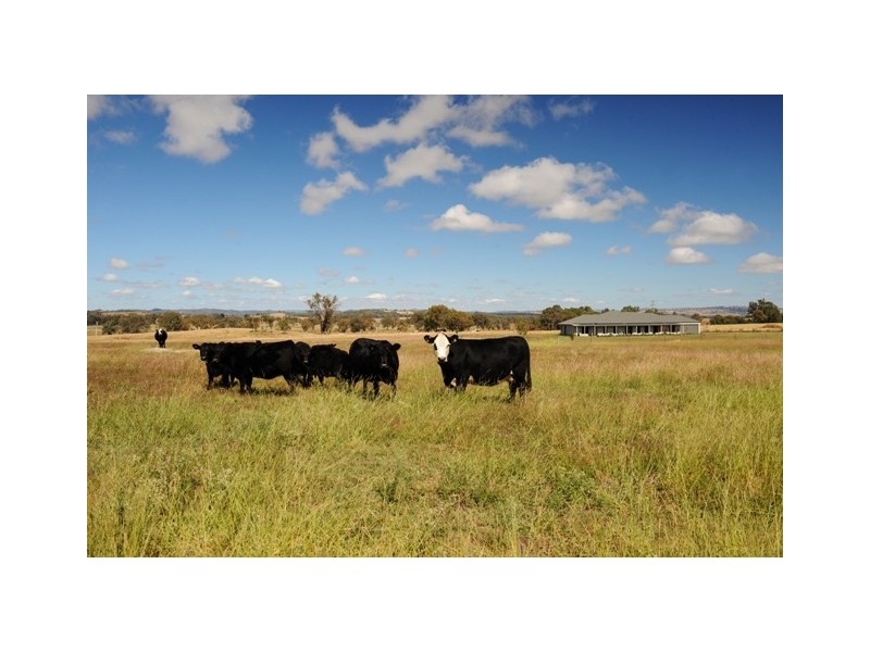 43 Wyaldra Lane, Mudgee NSW 2850