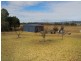 20 Stockmans Drive, Mudgee NSW 2850