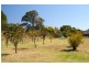 9 – 11 Medley Street, Mudgee NSW 2850