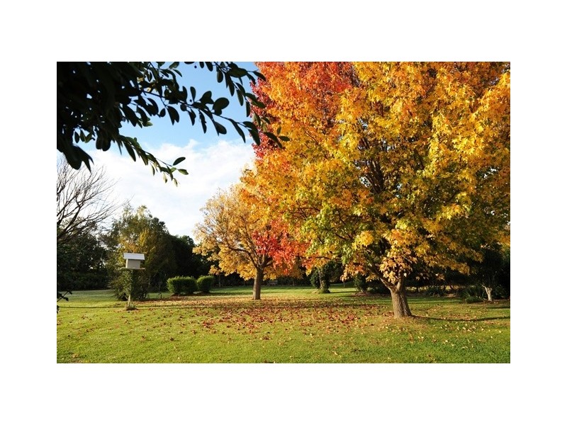 “Bombira” 160 Ulan Road, Mudgee NSW 2850