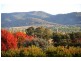 “Bombira” 160 Ulan Road, Mudgee NSW 2850