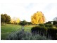 “Bombira” 160 Ulan Road, Mudgee NSW 2850