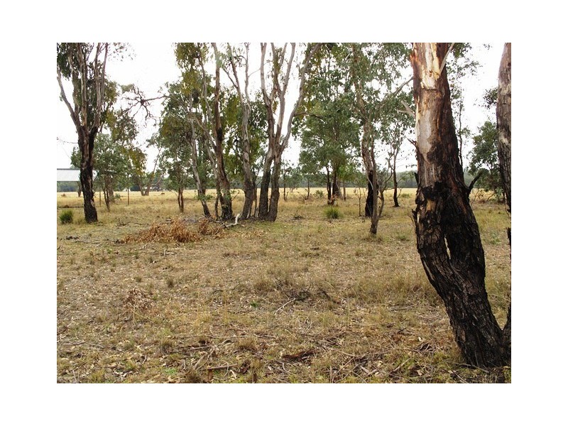 1301 Spring Creek Road, Mudgee NSW 2850