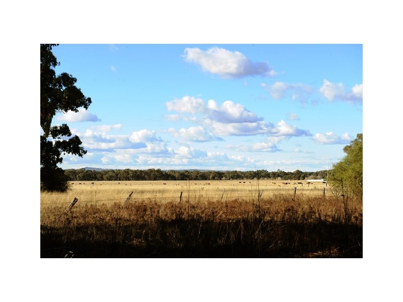46 Black Lead Lane, Mudgee NSW 2850