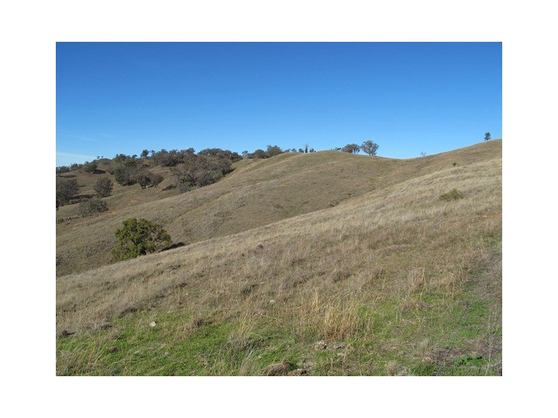 1513 Lower Piambong Road, Mudgee NSW 2850