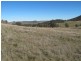 1513 Lower Piambong Road, Mudgee NSW 2850