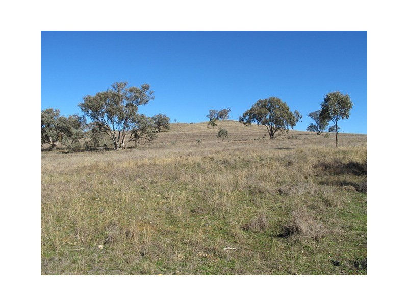 1513 Lower Piambong Road, Mudgee NSW 2850