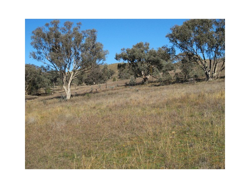 1513 Lower Piambong Road, Mudgee NSW 2850