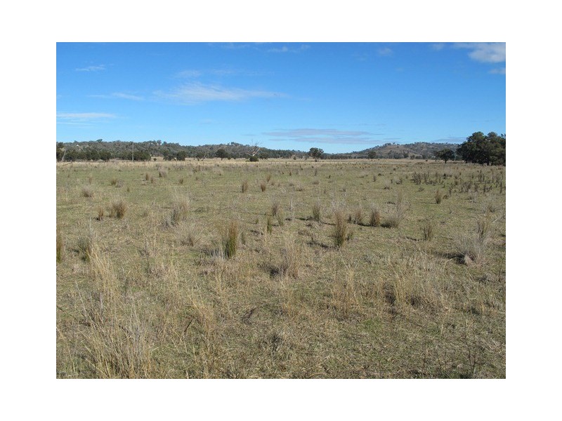 “River Block” Uamby Road, Mudgee NSW 2850