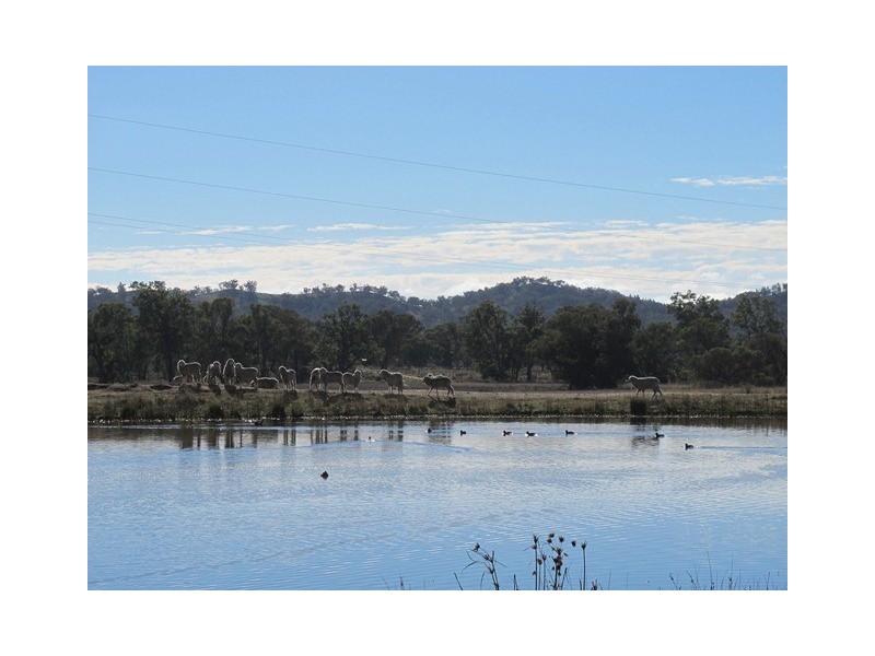 “River Block” Uamby Road, Mudgee NSW 2850
