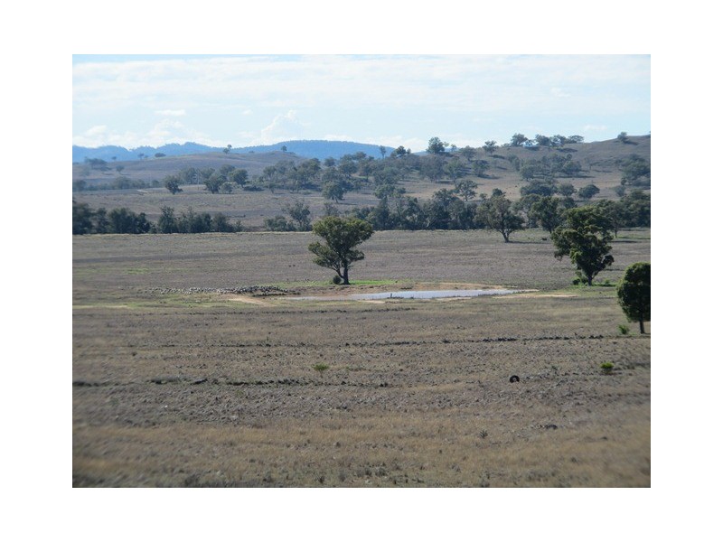 “River Block” Uamby Road, Mudgee NSW 2850
