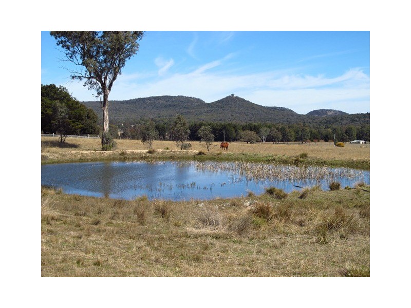 646 Ridge Road, Mudgee NSW 2850