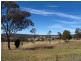 646 Ridge Road, Mudgee NSW 2850