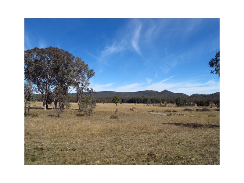 646 Ridge Road, Mudgee NSW 2850