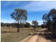 646 Ridge Road, Mudgee NSW 2850