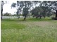 295 Putta Bucca Road, Mudgee NSW 2850