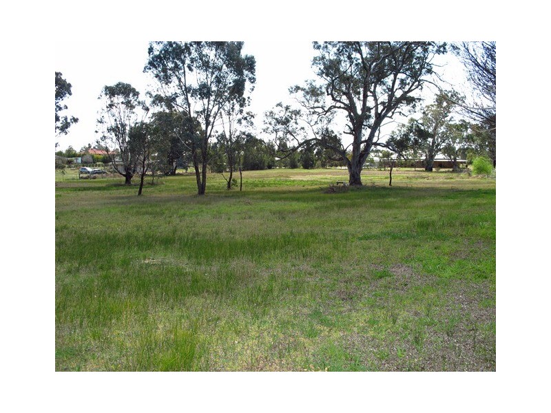 295 Putta Bucca Road, Mudgee NSW 2850