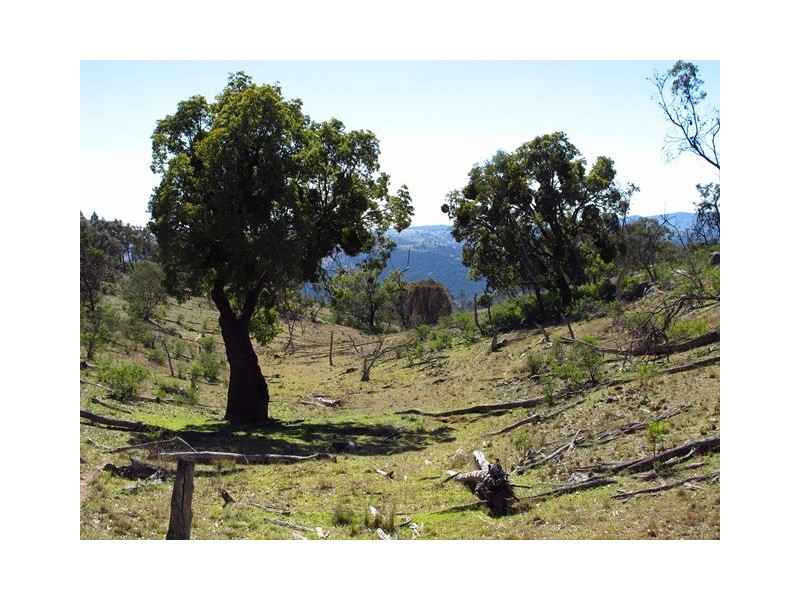 Lot 50 Highland Home Road, Mudgee NSW 2850