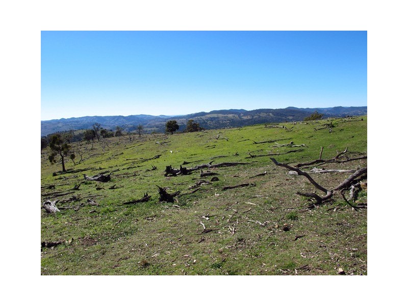 Lot 50 Highland Home Road, Mudgee NSW 2850