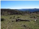 Lot 50 Highland Home Road, Mudgee NSW 2850