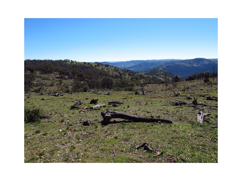 Lot 50 Highland Home Road, Mudgee NSW 2850