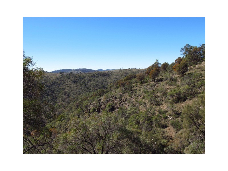 Lot 50 Highland Home Road, Mudgee NSW 2850